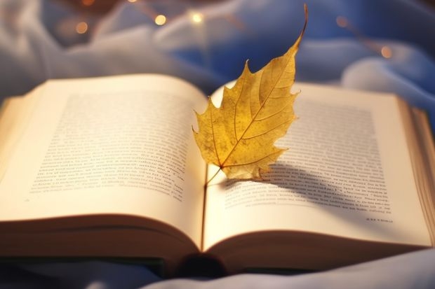 淄博师范职业学院地址 淄博有哪些职业学校