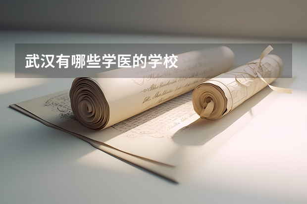武汉有哪些学医的学校